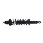 Monroe 171146 Suspension Strut and Coil Spring Assembly - Rear - view 2