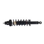 Monroe 171146 Suspension Strut and Coil Spring Assembly - Rear - view 1