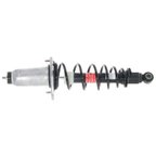 Monroe 172496L Suspension Strut and Coil Spring Assembly - Rear Left - view 1