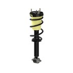 Monroe 173116 Suspension Strut and Coil Spring Assembly - Front - view 1