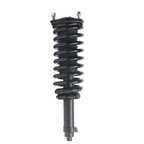 Monroe 173295 Suspension Strut and Coil Spring Assembly - Front Left - view 1