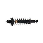 Monroe 271379 Suspension Strut and Coil Spring Assembly - Rear - view 2