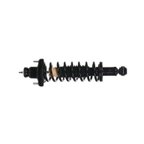 Monroe 271379 Suspension Strut and Coil Spring Assembly - Rear - view 1