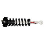 Rancho RS551774 Suspension Strut and Coil Spring Assembly - Front - view 1