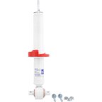Rancho RS55836 Suspension Strut - Front - view 2