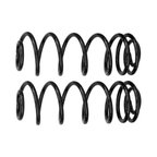 Rancho RS80132B Coil Spring Set - Rear - view 2