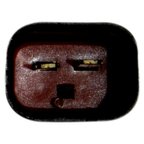 Continental WL41045 Power Window Motor and Regulator Assembly - Rear Right - view 3