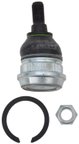 TRW JBJ154 Suspension Ball Joint - Front, Front Lower, Rear or Rear Lower - view 1