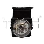 TYC 19-5541-90-9 Fog Light Assembly - Right - view 1