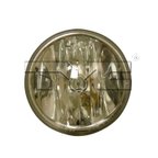 TYC 19-5871-00-9 Fog Light Assembly - Left or Right - view 1