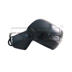 TYC 4710352 Door Mirror - Left - view 1