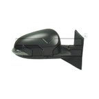 TYC 5430041 Door Mirror - Right - view 1