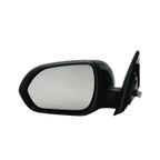TYC 8190172 Door Mirror - Left - view 3