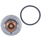 Motorad 1121-160 Engine Coolant Thermostat - view 7
