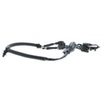Motorad 1KR137 Engine Crankshaft Position Sensor - view 4