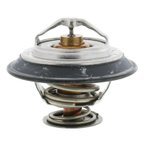 Motorad 4071-80 Engine Coolant Thermostat - view 6