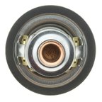 Motorad 7267-195 Engine Coolant Thermostat - view 4