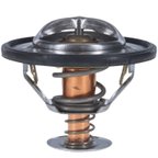 Motorad 7301-170 Engine Coolant Thermostat - view 6