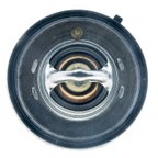 Motorad 7420-195 Engine Coolant Thermostat - view 3