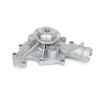 US Motor Works US4102 Engine Water Pump - view 2