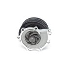 US Motor Works US5000P Engine Water Pump - view 3