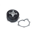 US Motor Works US5000P Engine Water Pump - view 4