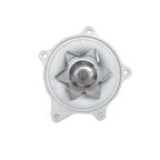 US Motor Works US7140 Engine Water Pump - view 2