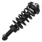 Unity 15080 Suspension Strut and Coil Spring Assembly - Rear - view 1