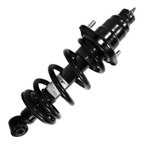 Unity 15343 Suspension Strut and Coil Spring Assembly - Rear Left - view 2