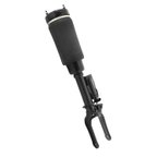 Unity 28-112900 Air Suspension Strut - Front - view 1