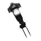 Unity 28-132501 Air Suspension Strut - Front Left - view 2