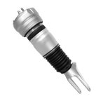 Unity 28-133002 Air Suspension Strut - Front Right - view 2