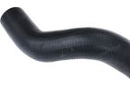 URO 1397546 Radiator Coolant Hose - Lower - view 3