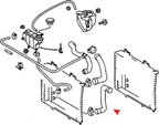 URO 2025015182 Radiator Coolant Hose - Lower - view 2