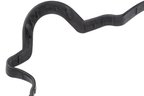 URO 94810593103 Engine Valve Cover Gasket - Right - view 2