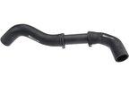 URO C2C9778 Radiator Coolant Hose - Lower - view 4