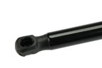 Autotecnica FD0816550 Trunk Lid Lift Support - view 2