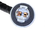 Autotecnica GM1317461 Tail / Backup / License Plate Light Combination Wiring Harness - view 3