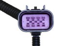 Autotecnica GM1317461 Tail / Backup / License Plate Light Combination Wiring Harness - view 4