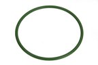 Autotecnica NI0515879 Fuel Pump Tank Seal - view 1
