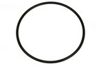 Autotecnica NI0515880 Fuel Pump Seal - view 1