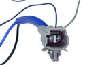 Autotecnica TY0519965 Fuel Pump Mounting Bracket - view 3