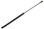 Vaico V10-0919 Hood Lift Support - view 1