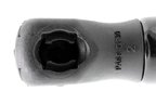 Vaico V10-2087 Hood Lift Support - view 3