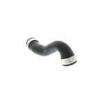 Vaico V10-3761 Intercooler Hose - Turbocharger to Pipe (Hot Side) - view 2