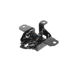 Vaico V10-3843 Hood Latch - view 2
