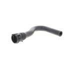 Vaico V10-5535 Engine Coolant Hose - Lower - Passenger Side - view 2