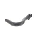 Vaico V10-5535 Engine Coolant Hose - Lower - Passenger Side - view 6