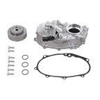 Vaico V10-6695 Engine Camshaft Kit - view 1