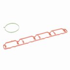 Vaico V10-6770 Engine Intake Manifold - view 3